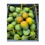 হিমসাগর আম / Himsagor Aam - Image 3